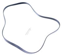 Amica Poly-v-snaar                                                 1031519