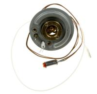 Boschsiemens Branderkop                                                   00423530