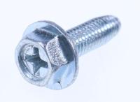Amica Schroef                                                      1015464