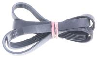 WHIRLPOOL/INDESIT Poly-v-riemen                                                481281718147