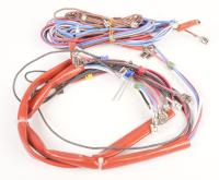 BEKO/GRUNDIG/ARCELIK Faisceaux de cables                                          C00909737