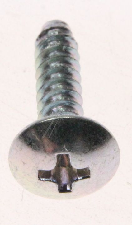 Boschsiemens Schroef                                                      00600998