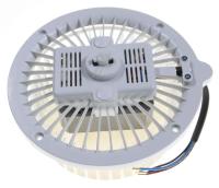 HISENSE/GORENJE Moteurs                                                      248777