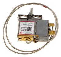 Amica Thermostate                                                  1048864