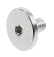 Boschsiemens Schroef                                                      00627106