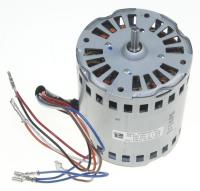 HISENSE/GORENJE Motoren                                                      315936