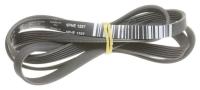 Amica Poly-v-snaar                                                 1024099