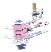 Fritel Thermostate                                                  2CW027