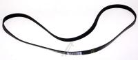 WHIRLPOOL/INDESIT Keilriemen                                                   482000077258