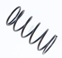 HISENSE/GORENJE Federn                                                       892423