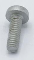 Boschsiemens Schroef                                                      10012812