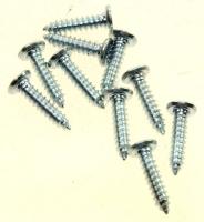 Boschsiemens Schroef                                                      00601355