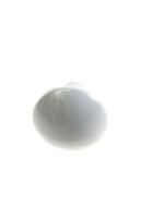 ELECTROLUX / AEG Rollen für geschirrkorb                                      1525272108