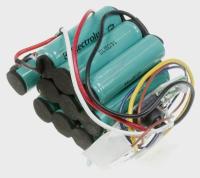 ELECTROLUX / AEG Stofzuigeraccu's                                             4055253571