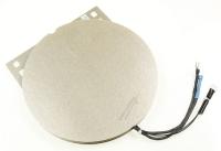 ARPA Plaques induction                                            A249690