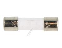 HISENSE/GORENJE Zekering                                                     HH1130865