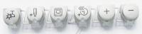 Boschsiemens Boutons                                                      00628329