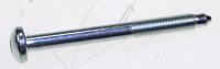 Boschsiemens Schroef                                                      00617575