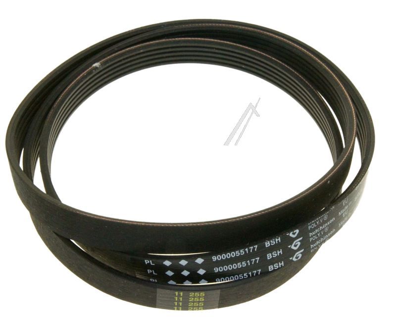 Boschsiemens Snaar                                                        00660579