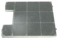 Amica Kohlefilter                                                  1015579