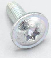 Boschsiemens Vis                                                          00622813