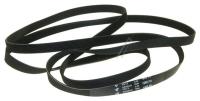 WHIRLPOOL/INDESIT Courroies poly-v                                             481235818154