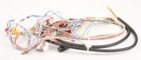 WHIRLPOOL/INDESIT Kabelboom                                                    488000731598