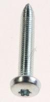 Boschsiemens Schroef                                                      00613577