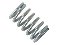Amica Ressorts                                                     8010448