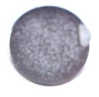 BEKO/GRUNDIG/ARCELIK Magneet                                                      C00875548