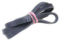Amica Courroie                                                     1022183