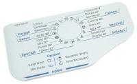 WHIRLPOOL/INDESIT Kap van wasmiddelbakje                                       482000031124