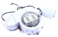 HISENSE/GORENJE Motoren                                                      498286