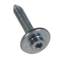 Boschsiemens Schroef                                                      00170215