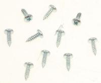 Boschsiemens Schroef                                                      00184810