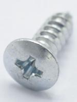 Boschsiemens Schroef                                                      00019829