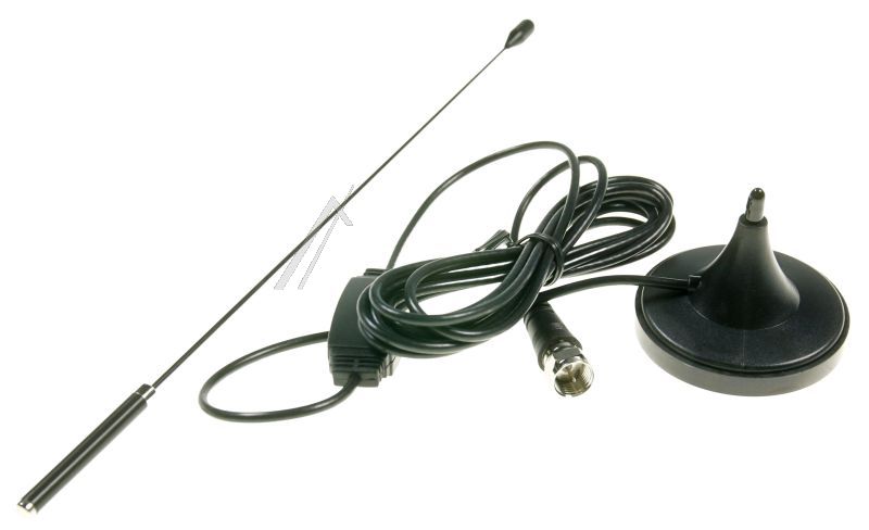 DELOCK Antenne's                                                    12413
