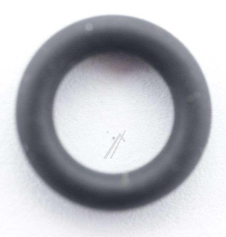 Boschsiemens Afdichting                                                   00600097