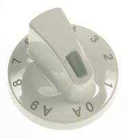 Amica Knebel                                                       9042734