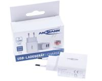 Ansmann Usb-voedingen                                                10010114