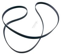 Amica Poly-v-snaar 1036157