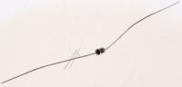 Samsung Zenerdiodes                                                  BN8105278A
