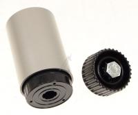 MEIRELESS Voet                                                         000539Q