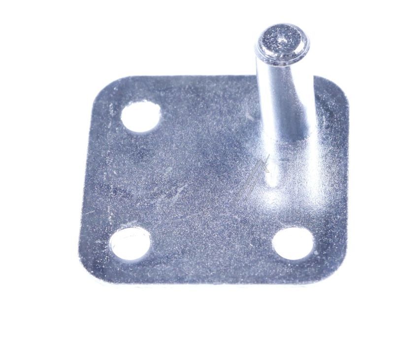 BEKO/GRUNDIG/ARCELIK Charnieres refrigerateur                                     C00875930