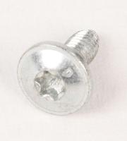 Boschsiemens Schroef                                                      10021440