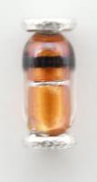 Panasonic Diodes                                                       B0BC6R2A0337