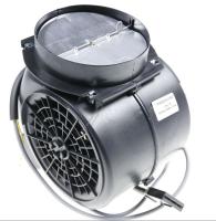 Airforce Motoren                                                      AFCVEN3812PSE