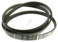 Boschsiemens Snaar                                                        00650717