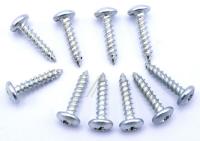 Boschsiemens Vis                                                          00637565