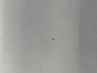 Vestel Smd-weerstanden                                              30016230